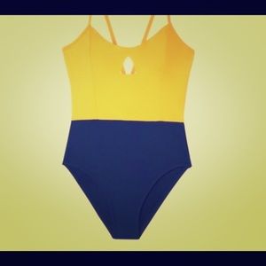 Summersalt The Swan Dive One Piece Swimsuit